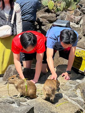 伊豆シャボテン動物公園に投稿された画像（2025/5/4）