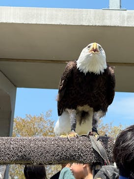 那須どうぶつ王国に投稿された画像（2025/5/4）