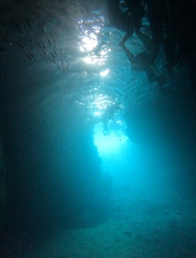 武藤潜水に投稿された画像（2025/5/4）