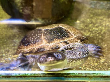 名古屋市東山動植物園に投稿された画像（2025/5/4）