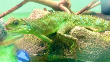 名古屋市東山動植物園に投稿された画像（2025/5/4）