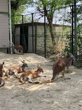 東武動物公園に投稿された画像（2025/5/4）