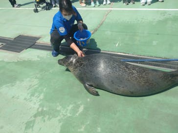 ゼロ距離水族館 伊勢シーパラダイスに投稿された画像（2025/5/4）