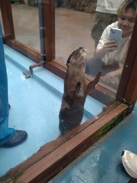 ゼロ距離水族館 伊勢シーパラダイスに投稿された画像（2025/5/4）