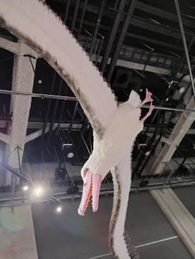 特別展「鳥～ゲノム解析が解き明かす新しい鳥類の系統～」に投稿された画像（2025/5/4）