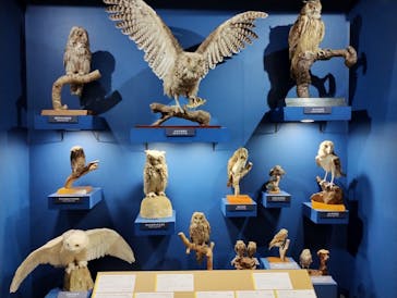 特別展「鳥～ゲノム解析が解き明かす新しい鳥類の系統～」に投稿された画像（2025/5/4）