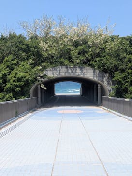 島根県立 しまね海洋館に投稿された画像（2025/5/4）