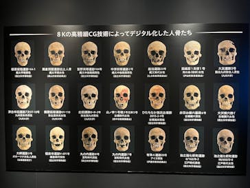 特別展「古代DNA－日本人のきた道」（国立科学博物館）に投稿された画像（2025/5/4）