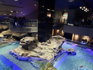 すみだ水族館に投稿された画像（2025/5/4）