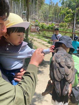 しろとり動物園に投稿された画像（2025/5/4）