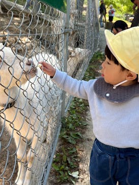 しろとり動物園に投稿された画像（2025/5/4）