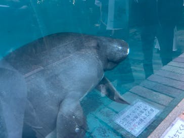 熱川バナナワニ園に投稿された画像（2025/5/4）