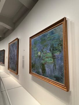 モネ　睡蓮のときに投稿された画像（2025/5/4）