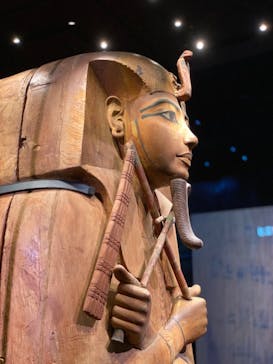 ACN ラムセス大王展 ファラオたちの黄金に投稿された画像（2025/5/4）