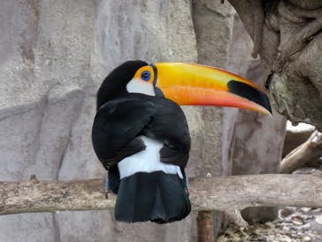 那須どうぶつ王国に投稿された画像（2025/5/4）