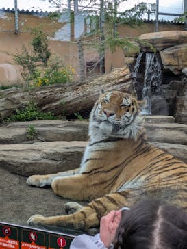 那須どうぶつ王国に投稿された画像（2025/5/4）