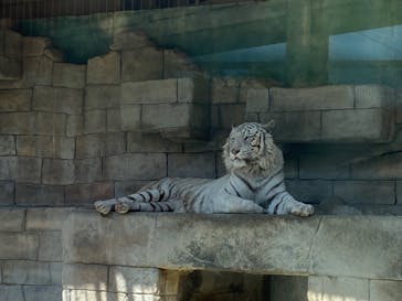 東武動物公園に投稿された画像（2025/5/4）