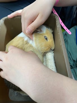 東武動物公園に投稿された画像（2025/5/4）