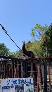 静岡市立日本平動物園に投稿された画像（2025/5/4）