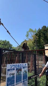 静岡市立日本平動物園に投稿された画像（2025/5/4）