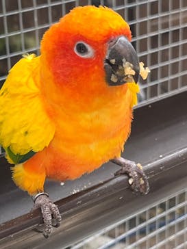 掛川花鳥園に投稿された画像（2025/5/4）