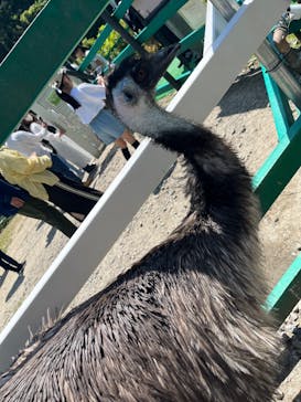 掛川花鳥園に投稿された画像（2025/5/4）