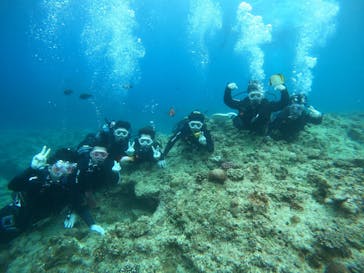 武藤潜水に投稿された画像（2025/5/4）