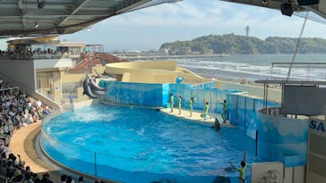 新江ノ島水族館に投稿された画像（2025/5/4）