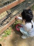 しろとり動物園に投稿された画像（2025/5/4）