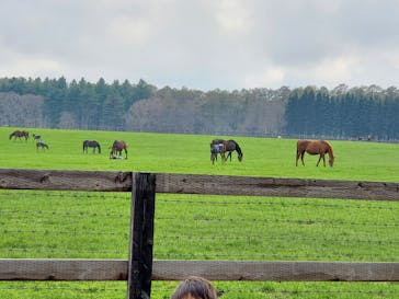 ノーザンホースパークに投稿された画像（2025/5/4）