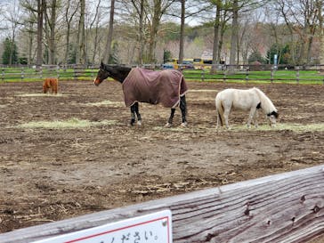 ノーザンホースパークに投稿された画像（2025/5/4）