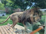東京動物園協会_多摩動物公園に投稿された画像（2025/5/4）