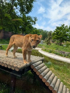 東京動物園協会_多摩動物公園に投稿された画像（2025/5/4）