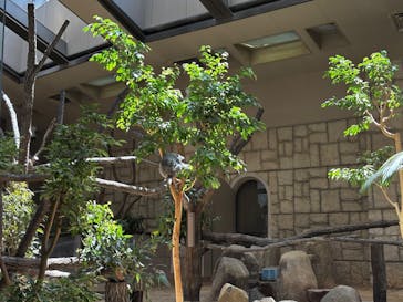名古屋市東山動植物園に投稿された画像（2025/5/4）