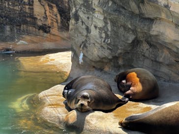 名古屋市東山動植物園に投稿された画像（2025/5/4）
