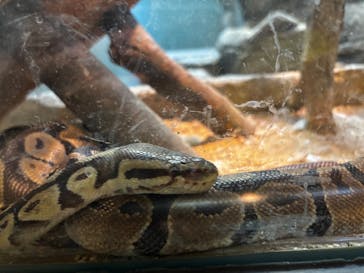 名古屋市東山動植物園に投稿された画像（2025/5/4）