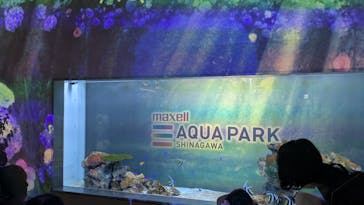 マクセル アクアパーク品川に投稿された画像（2025/5/4）