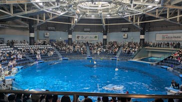 マクセル アクアパーク品川に投稿された画像（2025/5/4）