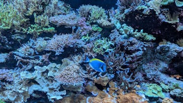 マクセル アクアパーク品川に投稿された画像（2025/5/4）