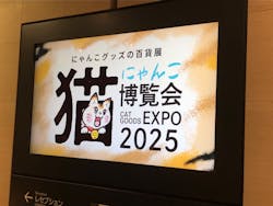 にゃんこ博覧会2025に投稿された画像（2025/5/4）