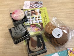 にゃんこ博覧会2025に投稿された画像（2025/5/4）