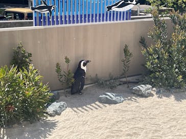 マリンワールド海の中道に投稿された画像（2025/5/4）
