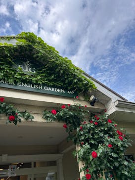 横浜イングリッシュガーデンに投稿された画像（2025/5/4）