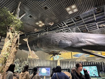 国立科学博物館に投稿された画像（2025/5/4）