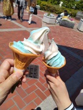 こうべアグリパークネモフィラの丘2025に投稿された画像（2025/5/4）