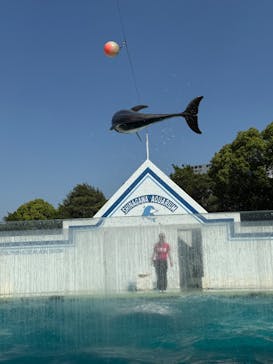 しながわ水族館に投稿された画像（2025/5/4）