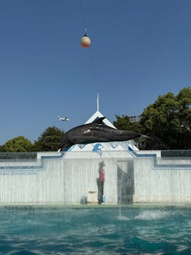 しながわ水族館に投稿された画像（2025/5/4）
