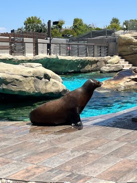 天王寺動物園に投稿された画像（2025/5/4）