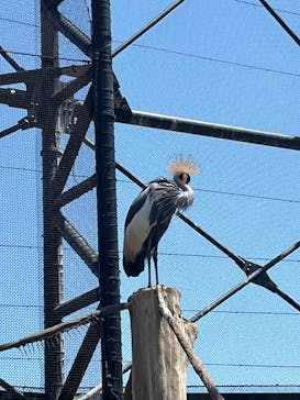 天王寺動物園に投稿された画像（2025/5/4）