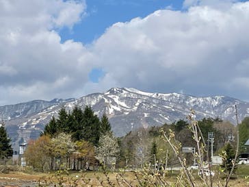 牧歌の里に投稿された画像（2025/5/4）